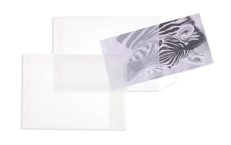 pochettes transparentes blanc (transparent blanc) 162 x 229 mm (c5) | 90 g/m² offset | sans fenêtre | fermeture adhésive | rabat droit | 100 pièces