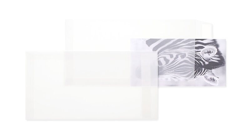 pochettes transparentes blanc (transparent blanc) 156 x 300 mm | 100 g/m² offset | sans fenêtre | fermeture adhésive | rabat droit | 100 pièces