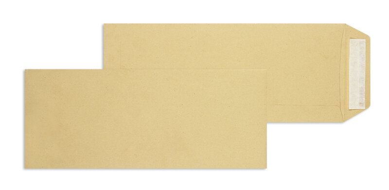 pochettes colorées marron 127 x 305 mm | 115 g/m² natron | sans fenêtre | fermeture adhésive | rabat droit | 250 pièces